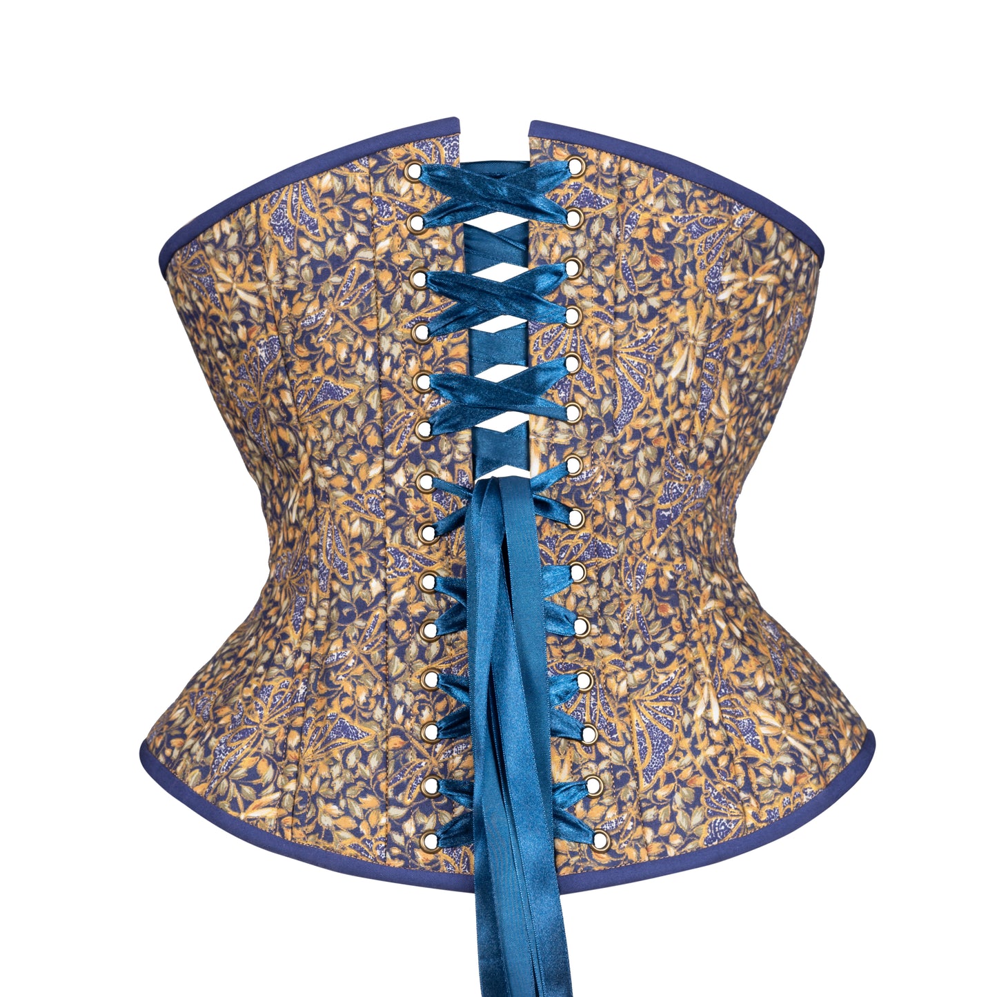 Dragonfly at Night Novice Corset, Hourglass Silhouette, Regular