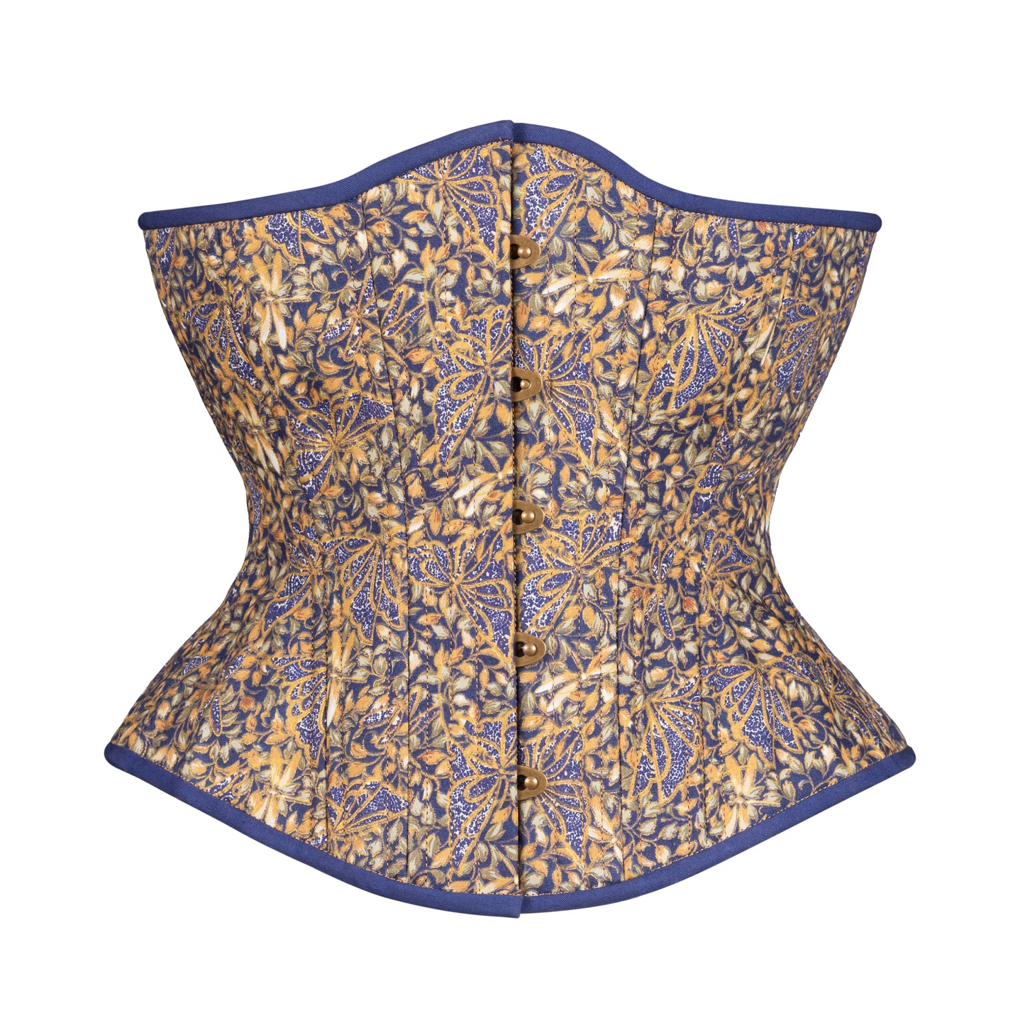 Dragonfly at Night Novice Corset, Hourglass Silhouette, Regular