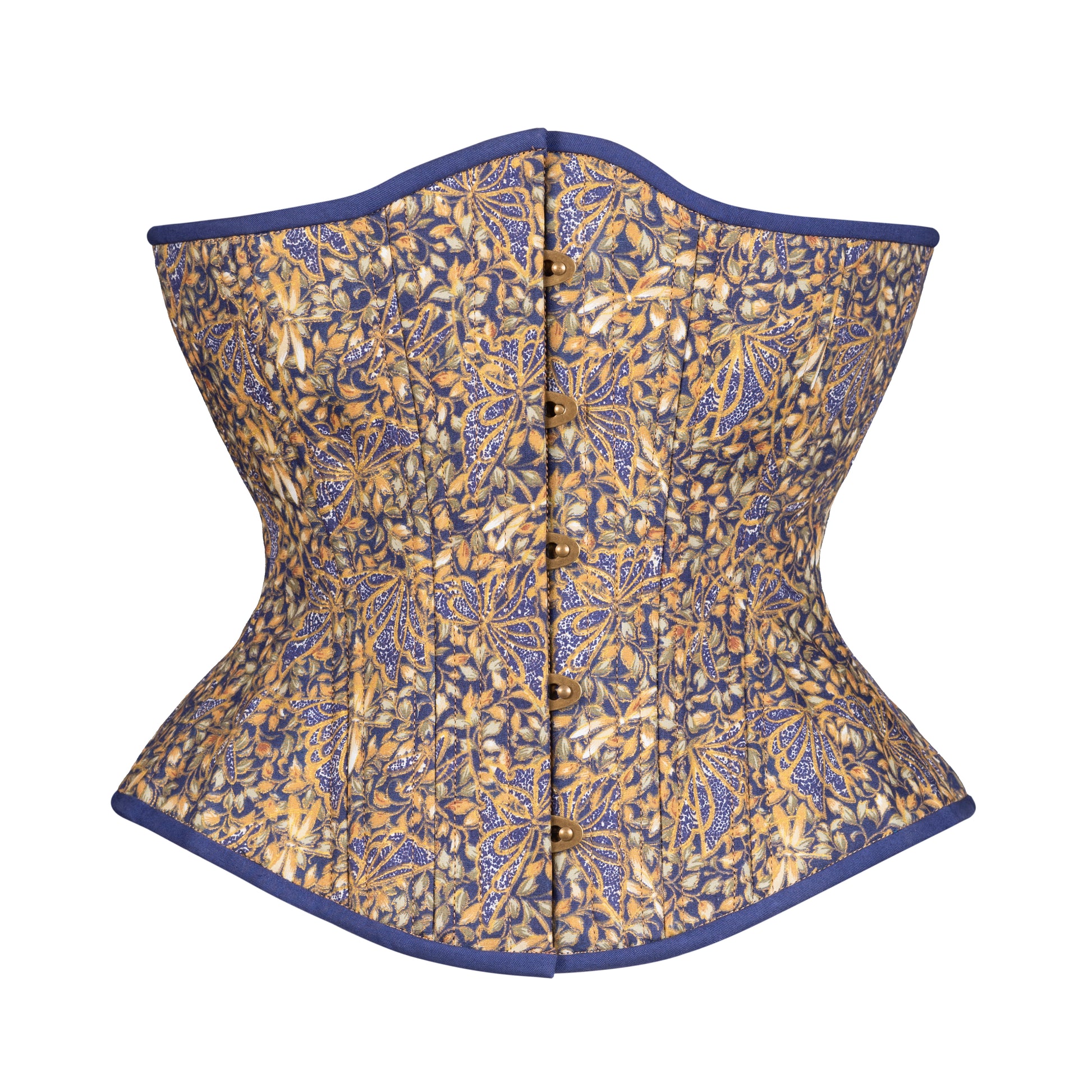 Dragonfly at Night Novice Corset, Hourglass Silhouette, Regular