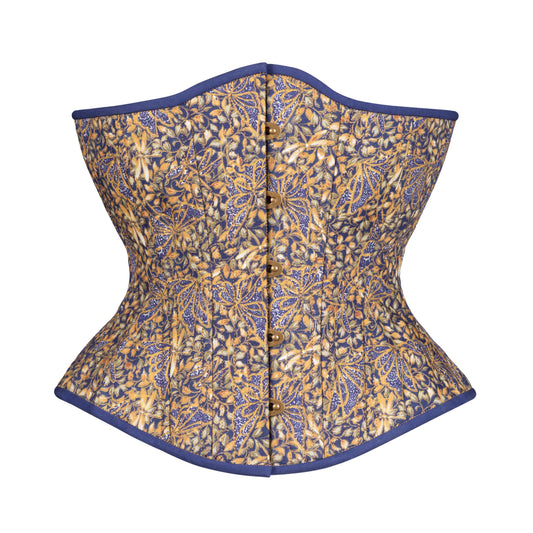 Dragonfly at Night Novice Corset, Hourglass Silhouette, Regular