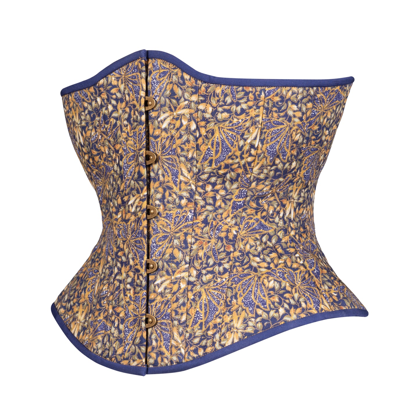Dragonfly at Night Novice Corset, Hourglass Silhouette, Regular