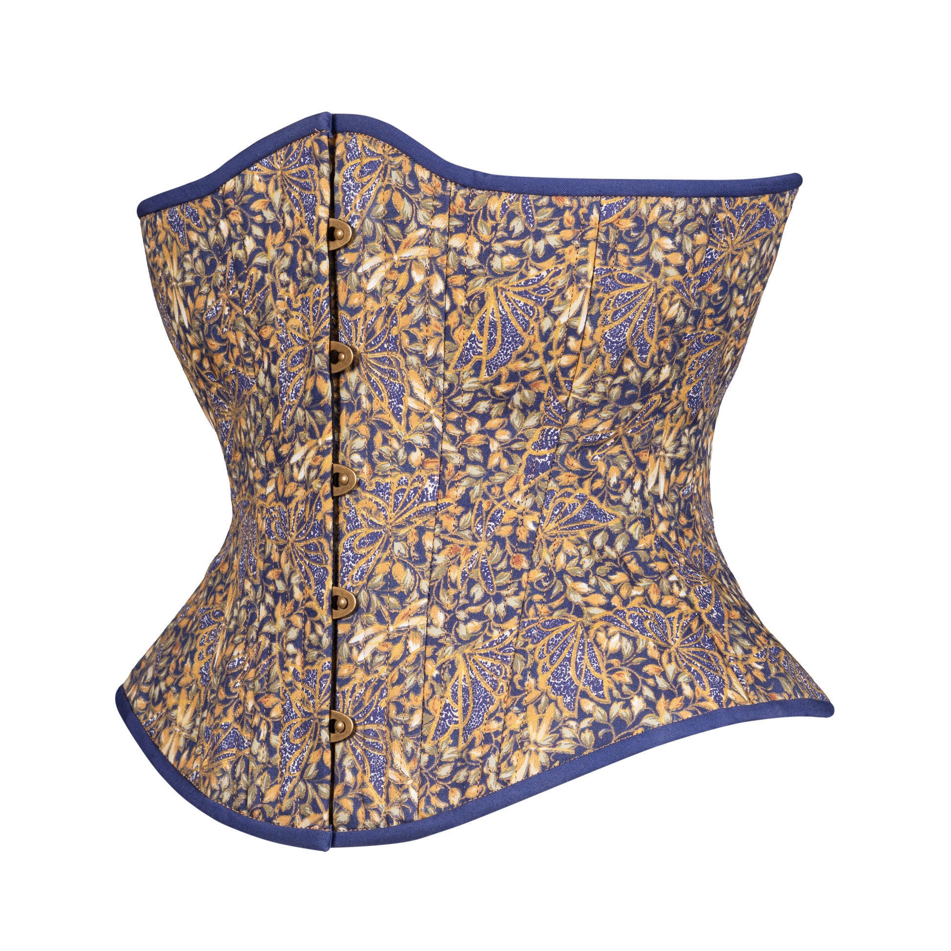 Dragonfly at Night Novice Corset, Hourglass Silhouette, Regular